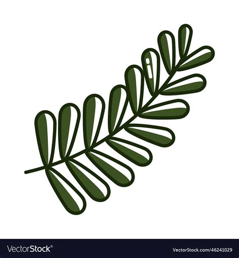 Green olive branch Royalty Free Vector Image - VectorStock