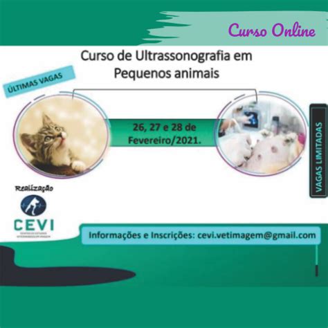 Curso Online Ultrassonografia Em Pequenos Animais Cevi Centro De