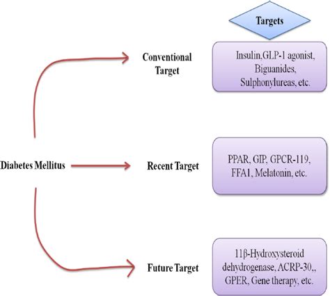 Novel Targets For Potential Therapeutic Use In Diabetes Mellitus