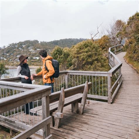 Visit Great Ocean Road Welcome To Kennett River Visit Great Ocean Road