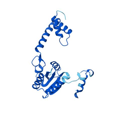 Rcsb Pdb Af Afa H B F Computed Structure Model Of Recombination