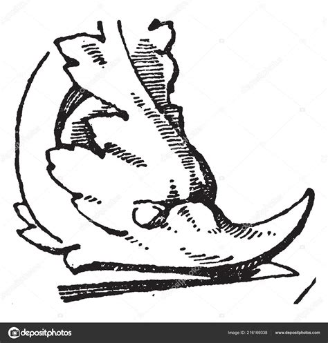 Dolphin Head Design Animal Face Pattern Vintage Line Drawing Engraving Stock Vector by ©Morphart ...