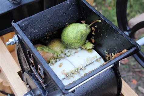 How to Make Pear Cider (Hard or Sweet) — Practical Self Reliance