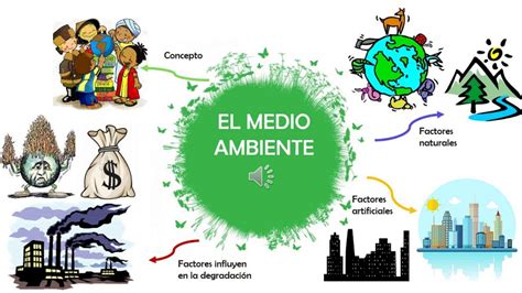 Arriba 76 Imagen Mapa Mental De La Contaminacion Atmosferica Abzlocal Mx