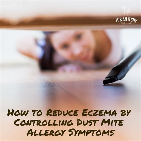 How to Reduce An Eczema Dust Mite Allergy Rash