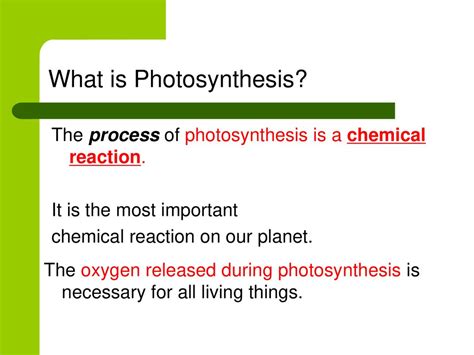 Photosynthesis And Cellular Respiration Ppt Download