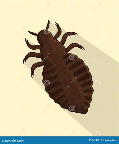 Lice Vector Insect 94292312