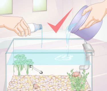 Aquarium Maintenance And Repair How To Articles From Wikihow