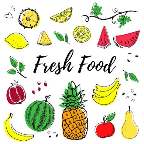 Ilustraci N Vectorial De Frutas Dibujadas A Mano Aisladas En Fondo