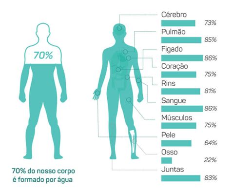 Porcentagem Agua Organismo Gua Ionizada Purion