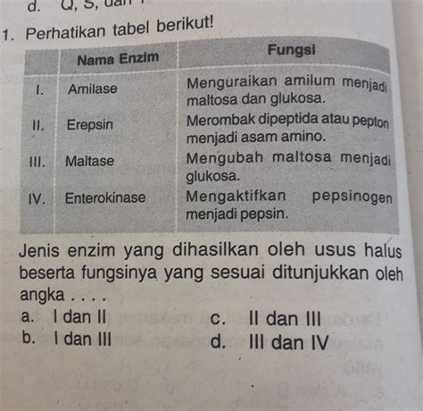 Fungsi Enzim Pada Usus Halus – Sinau