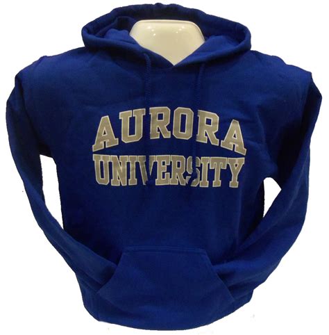 Hooded Sweatshirt - CC Basic AURORA arched over UNIVERSITY grey imprint ...