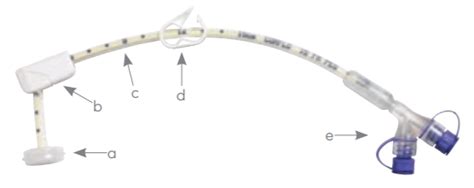 Avanos Medical 50 6020 CORFLO Percutaneous Endoscopic Gastrostomy