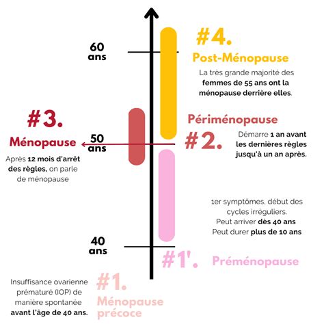 Mieux Comprendre La Ménopause Bodhea