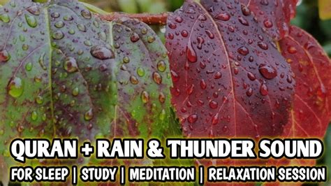 Rain And Peace Quran Recitation For Sleeping Relaxation Meditation