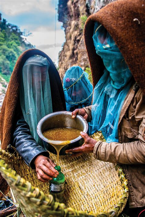 The Honey Hunters Of Nepal Inside Himalayas