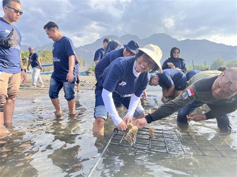 Dukung Program Aquakultur Berkelanjutan STP Tanam Ratusan Bibit