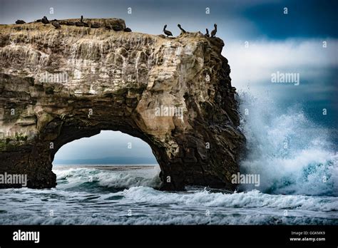 Natural Bridges State Beach Santa Cruz California Usa Stock Photo Alamy