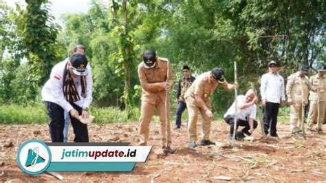 Kementan Tingkatkan Produksi Jagung Nasional Lamongan Jadi Andalan