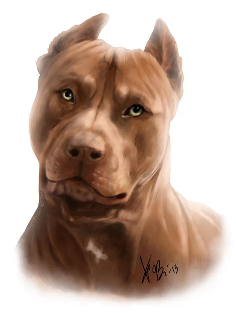 Red Pitbull Portrait By Redeyeddemon On Deviantart