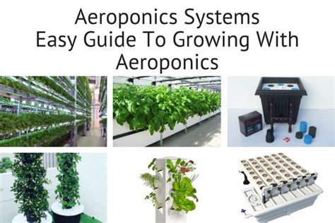 Aeroponics Systems - Easy Guide To Growing With Aeroponics - Smart Garden Guide