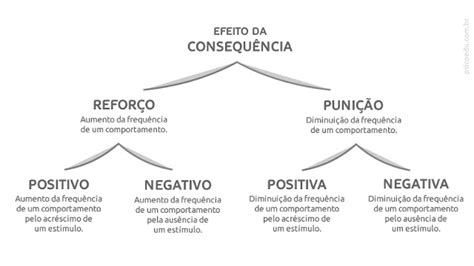 O reforço positivo e negativo punições e como aplicar behaviorismo