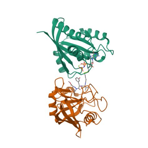 Rcsb Pdb G Q Tricomplex Of Compound Kras G C And Cypa