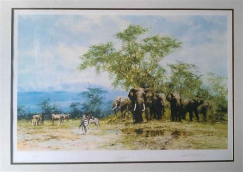 David Shepherd Limited Signed Edition Prints