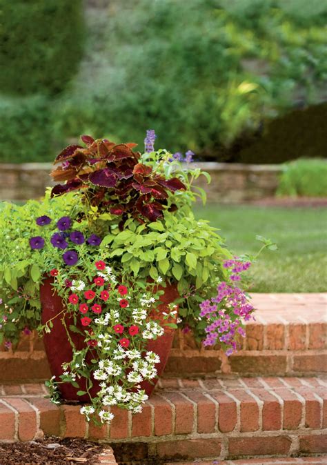 Add These Shade Loving Plants To Your Containers For Covered Porches