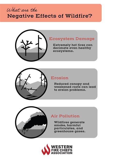 Effects Of Wildfires On The Environment Wfca