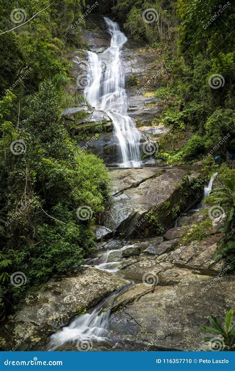 Rio De Janeiro Waterfall in Tijuca Forest Stock Photo - Image of ...