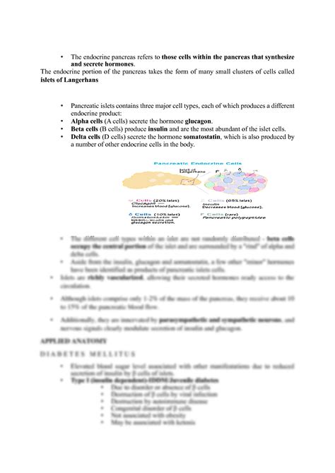 Solution Endocrine Pancreas Studypool