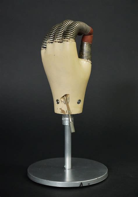 1930's Prosthetic Left Hand — AGENT GALLERY CHICAGO