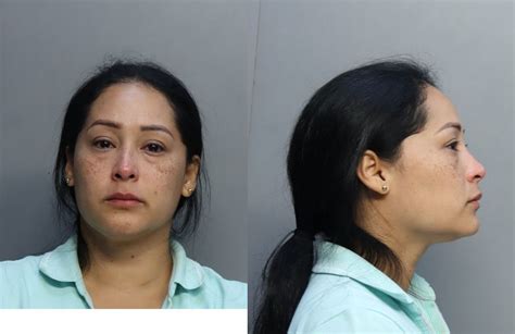 Gonzalez Yohanna Michele Miami Dade County Mugshots Zone