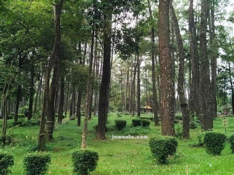 Taman Punti Kayu Palembang Tiket Masuk Kolam Renang Hutan