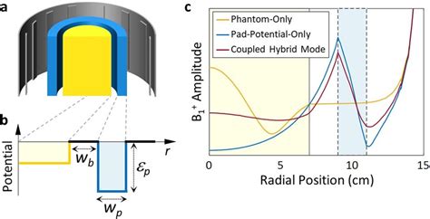 The Concept Of Evanescent Mode Coupling For MRI B 1 Shimming With The