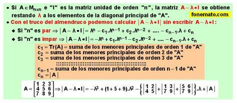 Diagonalizaci N De Matrices Cuadradas