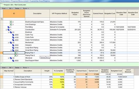 Progress Measurement For Project Performance Management By Ecosys