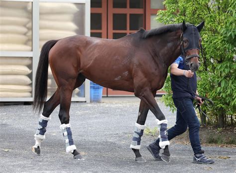 【宝塚記念】雨予報で道悪必至！馬場悪化で浮上する馬は？ 各陣営の道悪関連コメントも参考に 競馬写真ニュース 日刊スポーツ