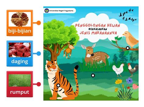 Penggolongan Hewan Berdasarkan Jenis Makanan Labelled Diagram