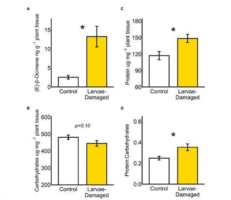 A Belowground Larval Herbivory Induced Systemic Increases In