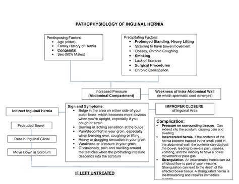 Pathophysiology Of Inguinal Hernia Pathophysiology Of Inguinal Hernia
