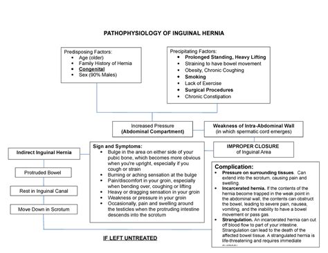 Pathophysiology Of Inguinal Hernia Pathophysiology Of Inguinal Hernia Complication Pressure