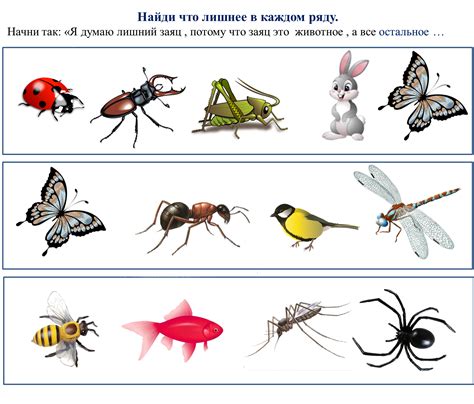 Тема насекомые картинки для детей