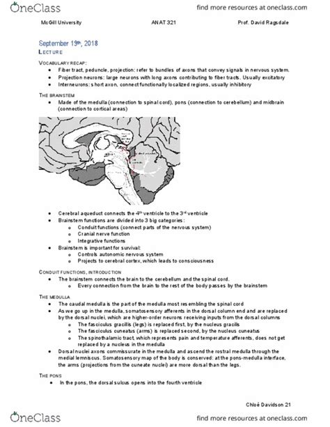 Anat Lecture Notes Fall Lecture Cuneate Nucleus David