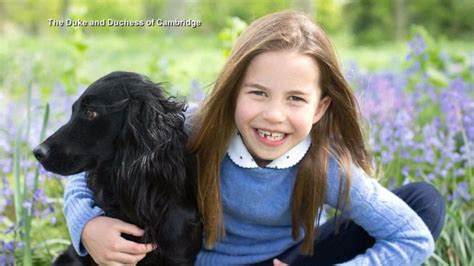 Video New Photos Released Of Princess Charlotte For 7th Birthday Abc News