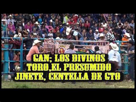 LAS 260 MONTAS MAS DRAMATICAS DEL JARIPEO 29 INTRO 2 YouTube