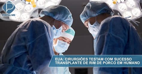 Cirurgiões testam sucesso transplante de rim de porco em humano