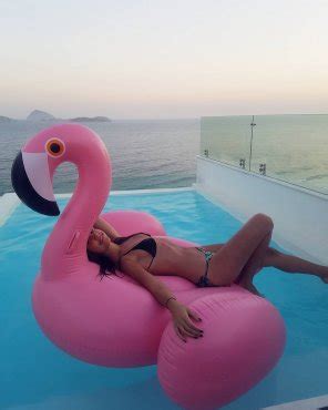 PicturePink Flamingo Porn Pic