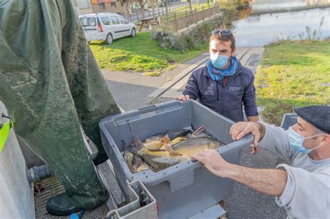 Les L Chers De Poissons P Che Aveyron